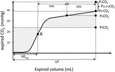 Physiologic Factors Influencing the Arterial-To-End-Tidal CO2 Difference and the Alveolar Dead Space Fraction in Spontaneously Breathing Anesthetised Horses